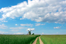 ������� ��������