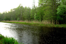 ������� ��������